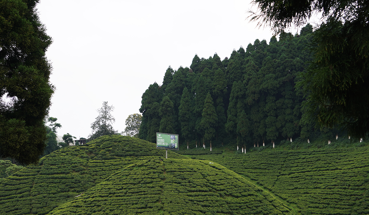 Mirik-Thurbo